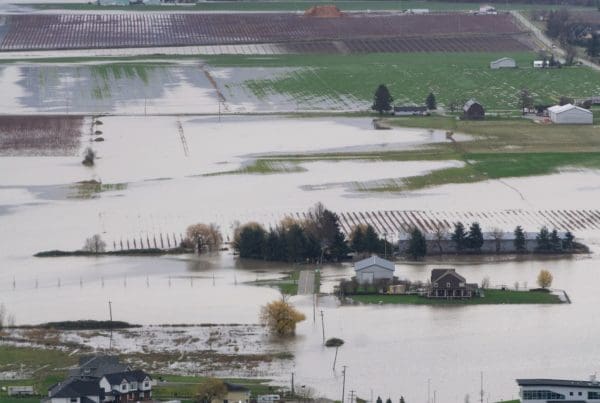 Devastating Flood Natural Disaster in the city and farmland after storm