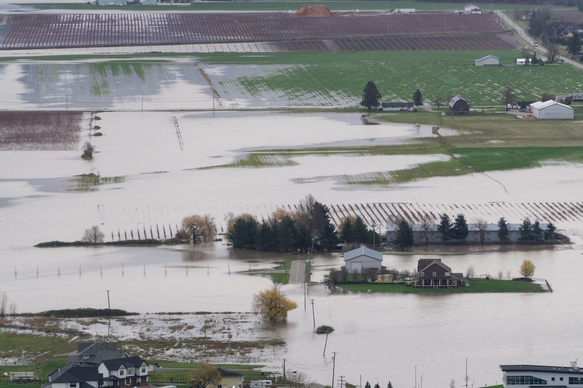 Emergency Management Agencies: Roles in Disaster Preparedness